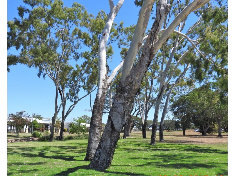 17 Darter Street, Oonoonba QLD 4811