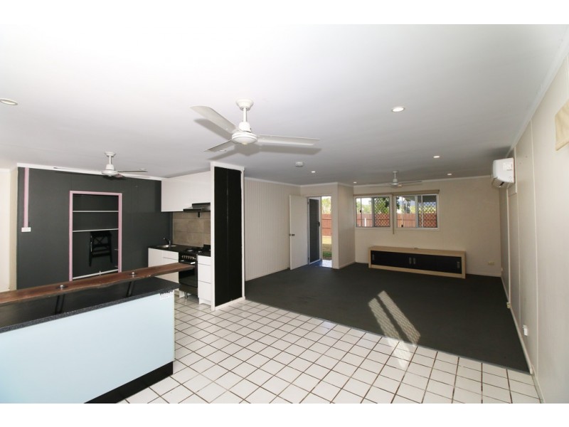 395 Dalrymple Service Road, Mount Louisa QLD 4814