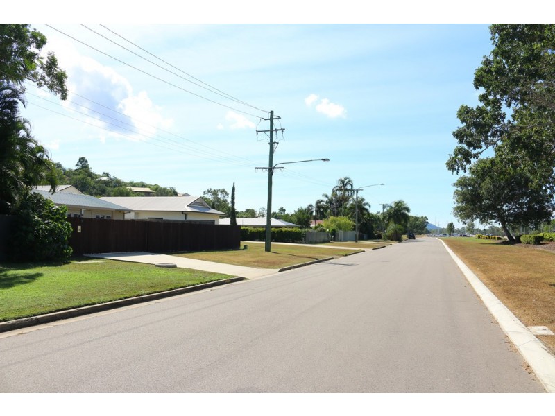 395 Dalrymple Service Road, Mount Louisa QLD 4814