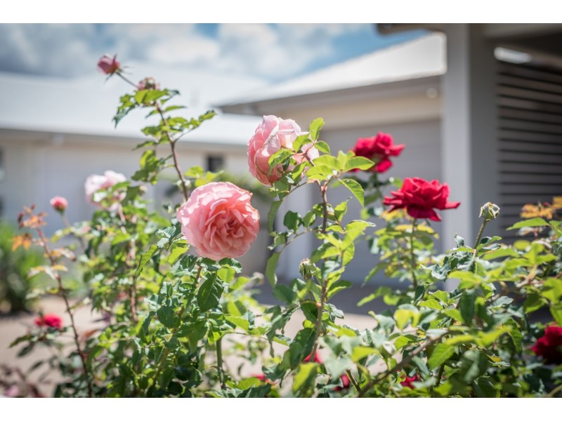 9 Lockton Street, Shaw QLD 4818