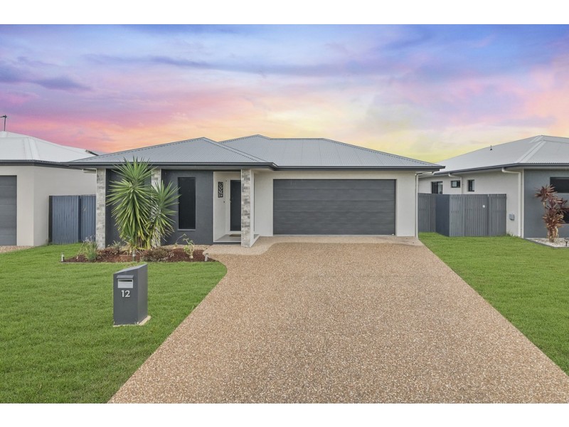 12 Beefwood Street, Bohle Plains QLD 4817