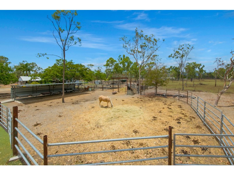 135 Haynes Road, Jensen QLD 4818