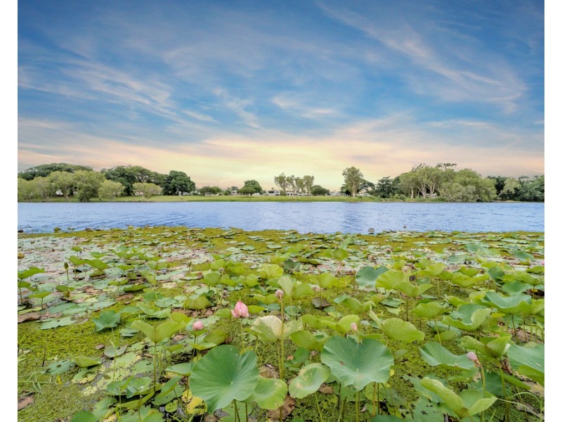 105 Marabou Drive, Annandale QLD 4814