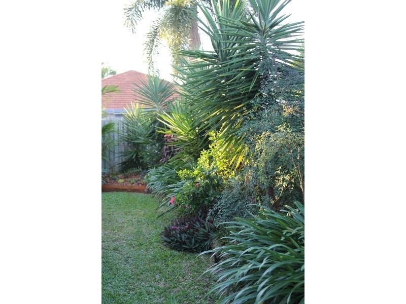 16 St David’s Close, Kirwan QLD 4817