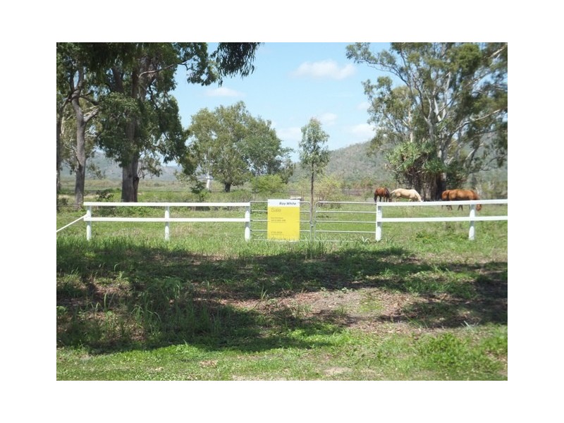 239 Crocodile Creek, Cape Cleveland QLD 4810