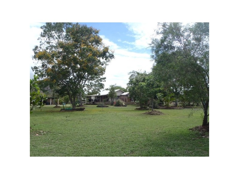 31 Bloodwood Drive, Nome QLD 4816