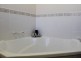 31 Catalonia Street, Kirwan QLD 4817