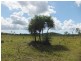 4 Gieseman Road, Black River QLD 4818