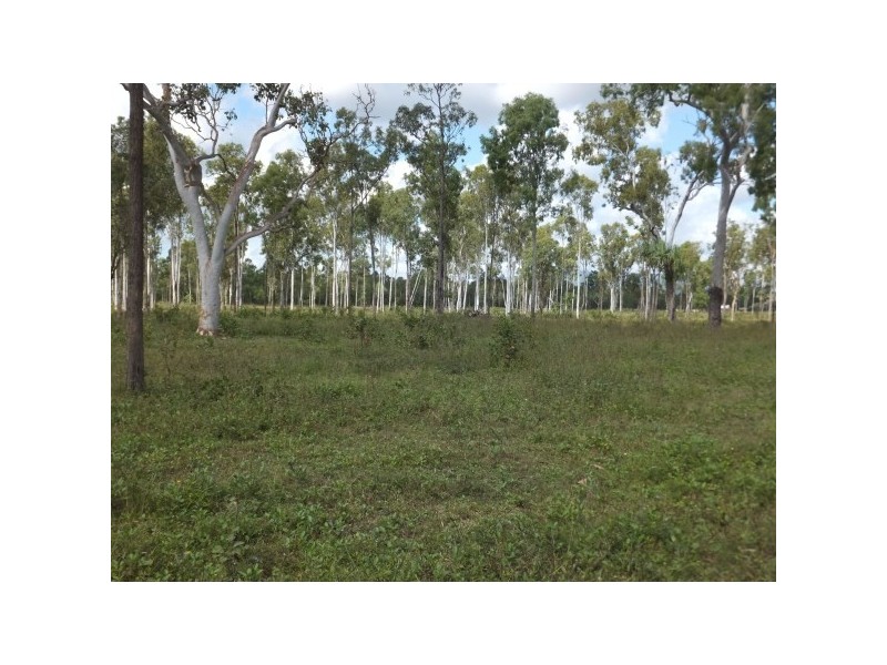 4 Gieseman Road, Black River QLD 4818