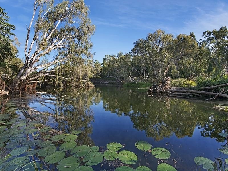 1584 Riverway Drive, Kelso QLD 4815