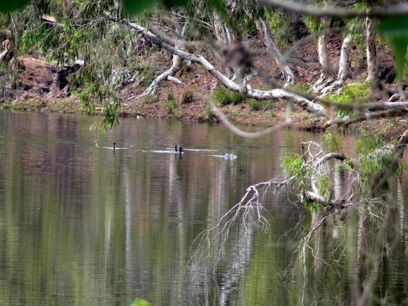 1584 Riverway Drive, Kelso QLD 4815