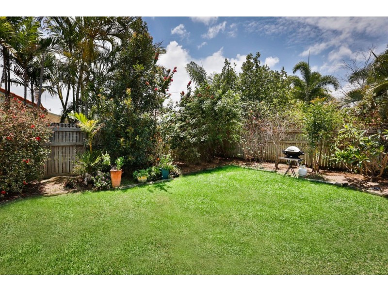 16 Alpina Place, Kirwan QLD 4817