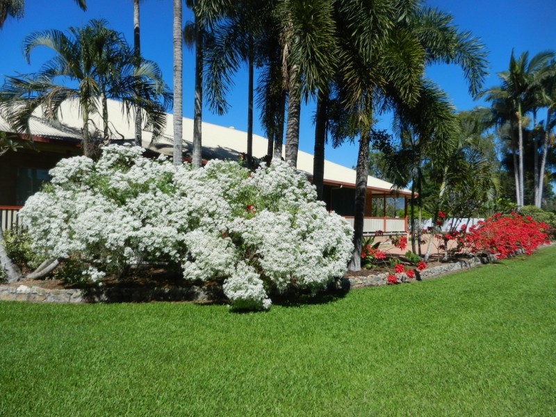 29 Cataract Avenue, Rangewood QLD 4817