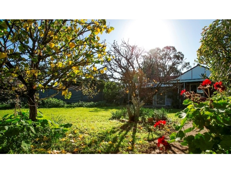 21 Lionel Avenue, Blair Athol SA 5084