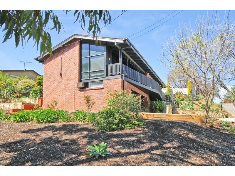 16 Elm Road, Campbelltown SA 5074