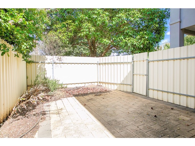 16 Pearce Avenue, Felixstow SA 5070