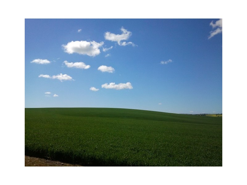 16 South Street, Hamley Bridge SA 5401