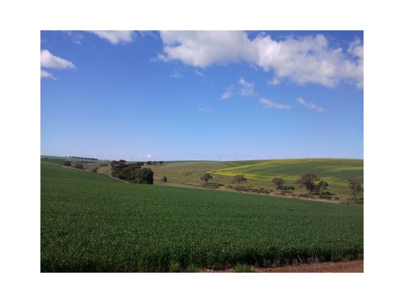 16 South Street, Hamley Bridge SA 5401