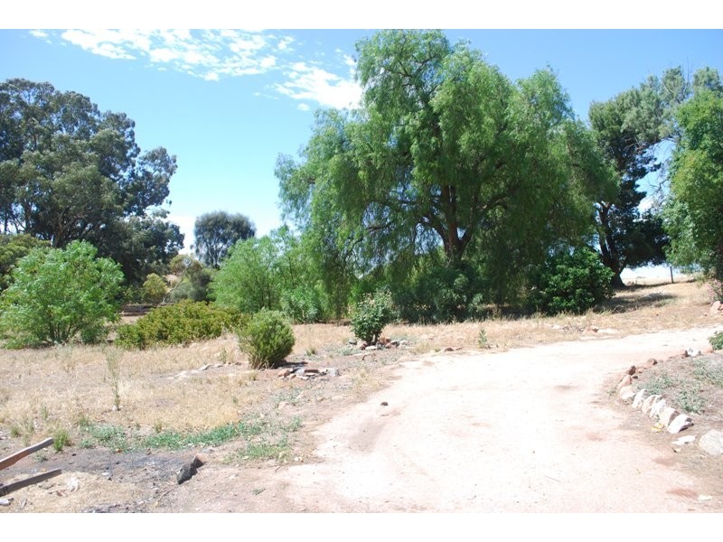 Lot 118 Palmer – Cookes Hill Road, Palmer SA 5237