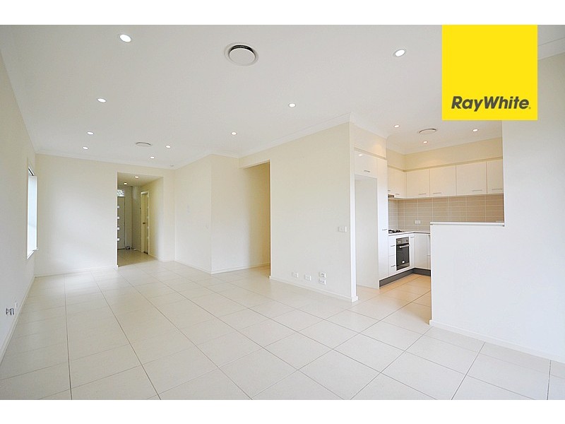 13 Eucalyptus Street, Lidcombe NSW 2141