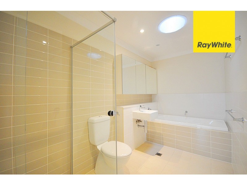 13 Eucalyptus Street, Lidcombe NSW 2141