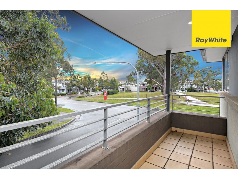 48 Pepper Tree Road, Lidcombe NSW 2141