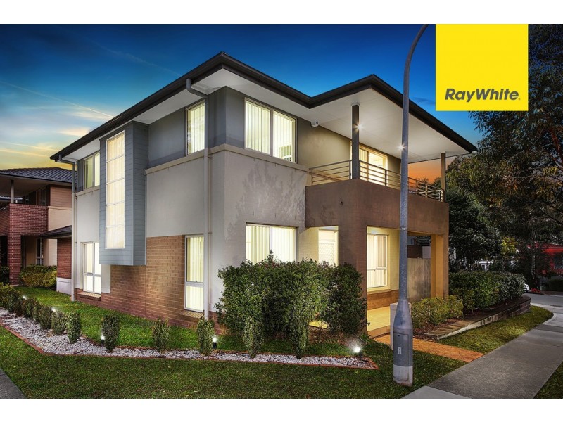 48 Pepper Tree Road, Lidcombe NSW 2141