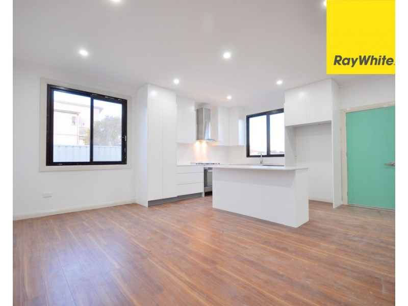 20 Rickard Street, Auburn NSW 2144