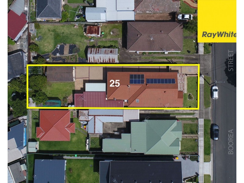 25 Boorea Street, Lidcombe NSW 2141
