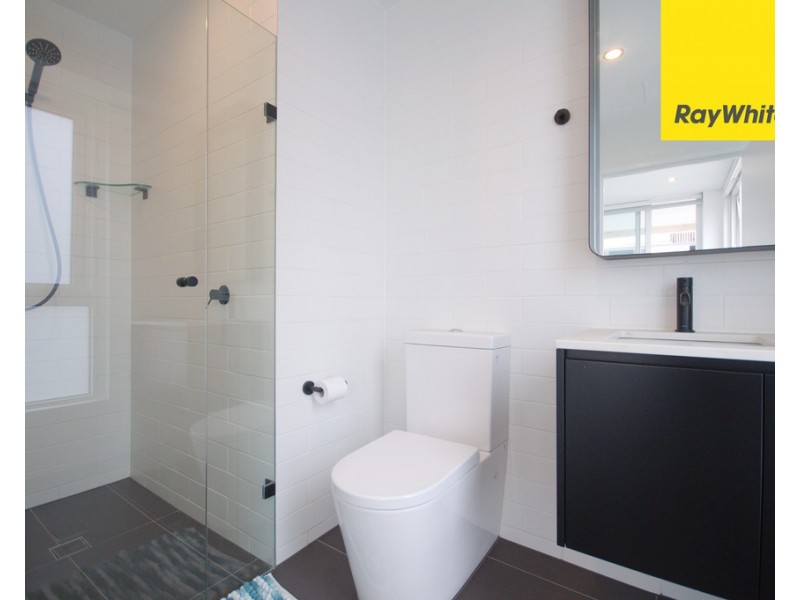 Lvl 10 / 15 Taylor Street, Lidcombe NSW 2141