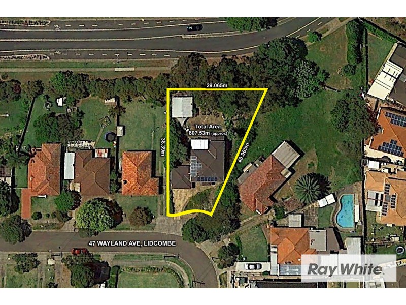 47 Wayland Ave, Lidcombe NSW 2141