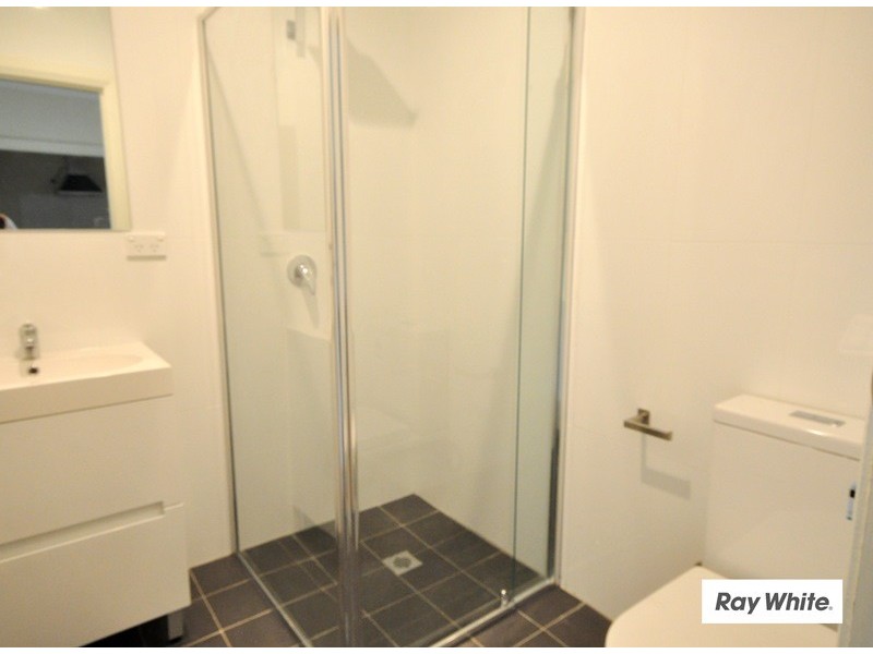 3 Angus Avenue, Auburn NSW 2144