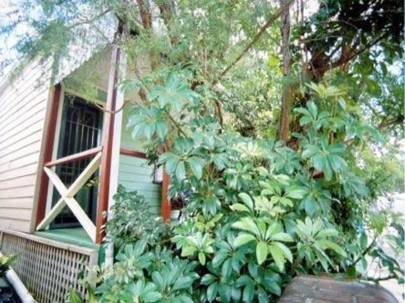 31 Darley Street, Newtown NSW 2042