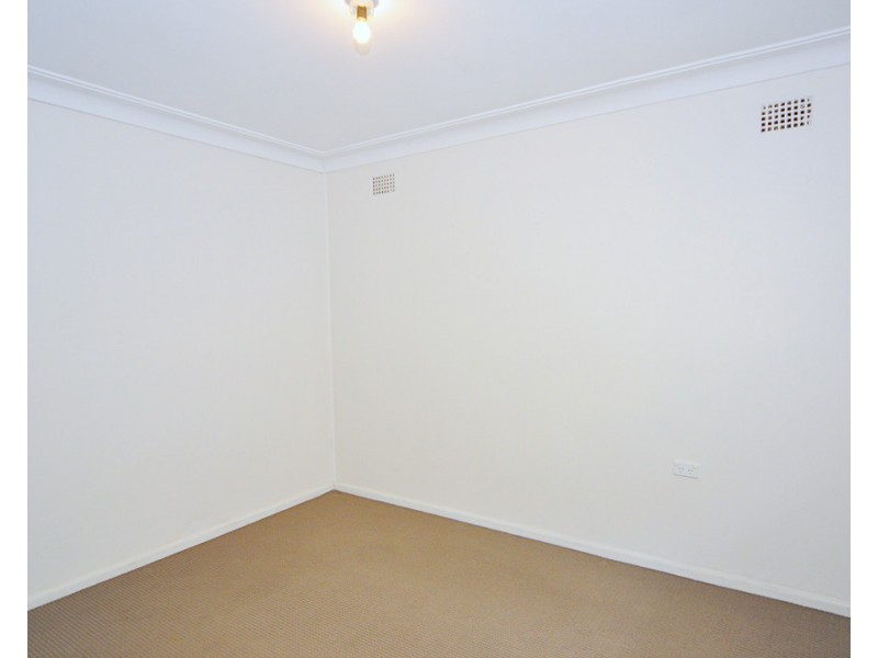 41 Maria Street, Petersham NSW 2049