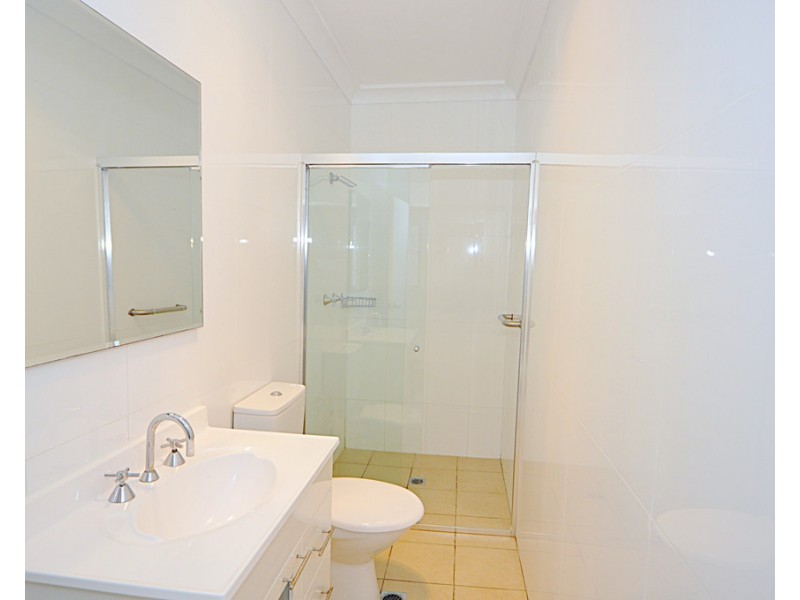 41 Maria Street, Petersham NSW 2049