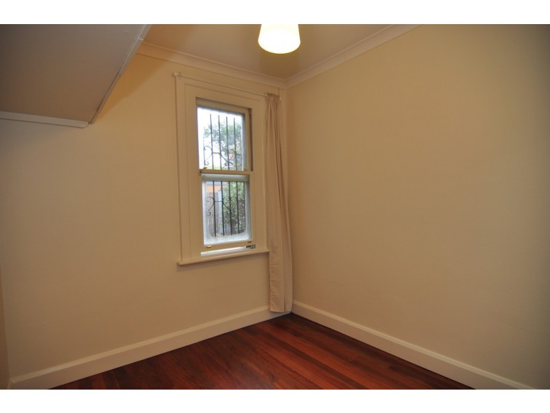 119 Westbourne Street, Petersham NSW 2049
