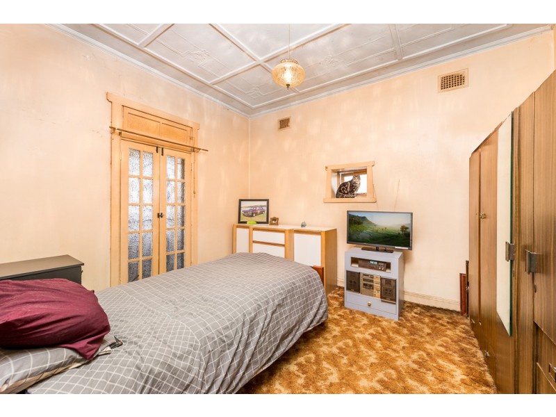 17 Chester Street, Petersham NSW 2049