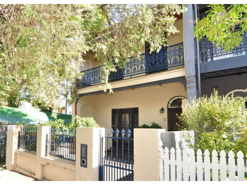 56 Terminus Street, Petersham NSW 2049