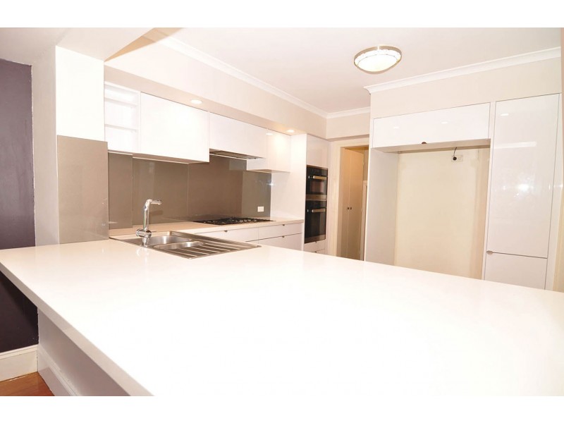 56 Terminus Street, Petersham NSW 2049