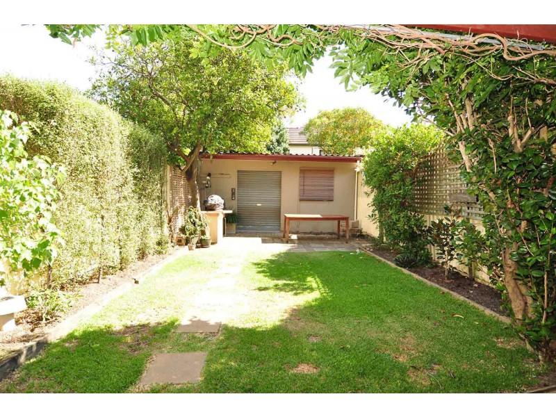 56 Terminus Street, Petersham NSW 2049