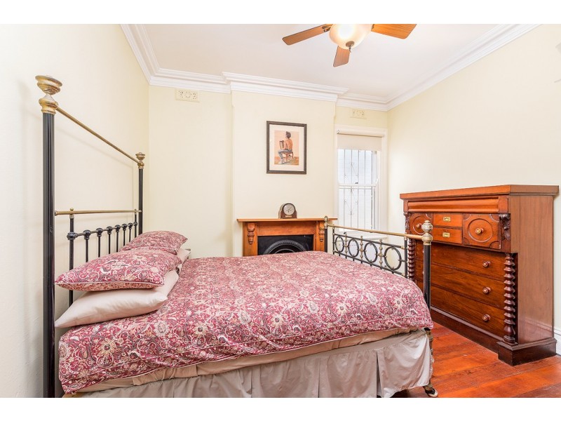 20 Terminus Street, Petersham NSW 2049