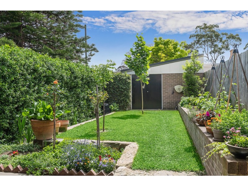 20 Terminus Street, Petersham NSW 2049