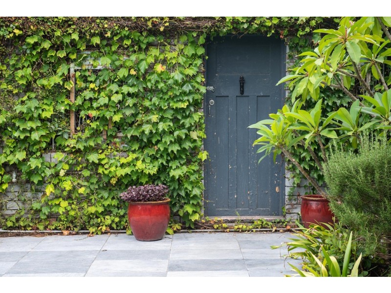 12 Canonbury Grove, Dulwich Hill NSW 2203