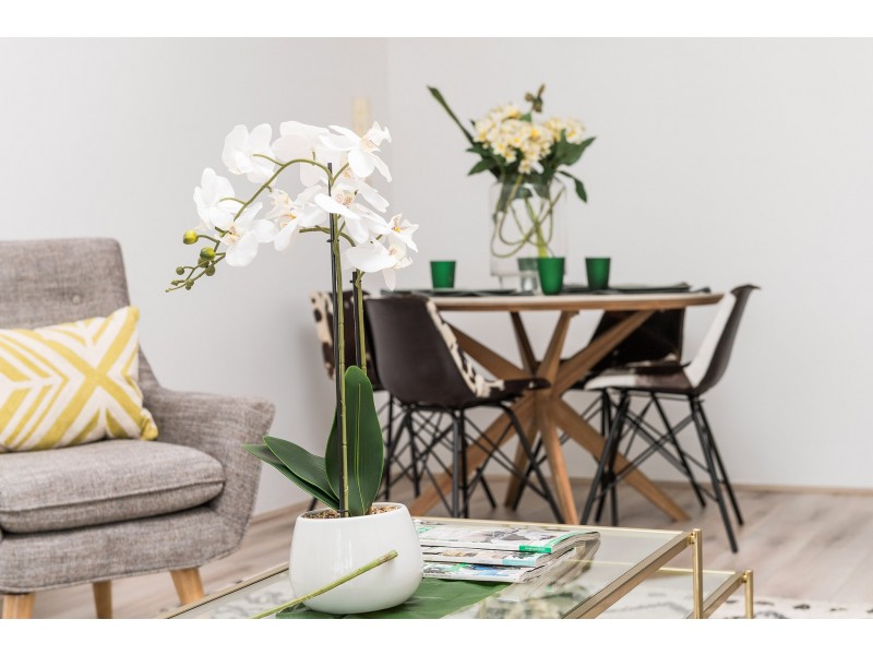 25 Railway Avenue, Stanmore NSW 2048