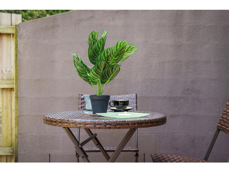 25 Railway Avenue, Stanmore NSW 2048