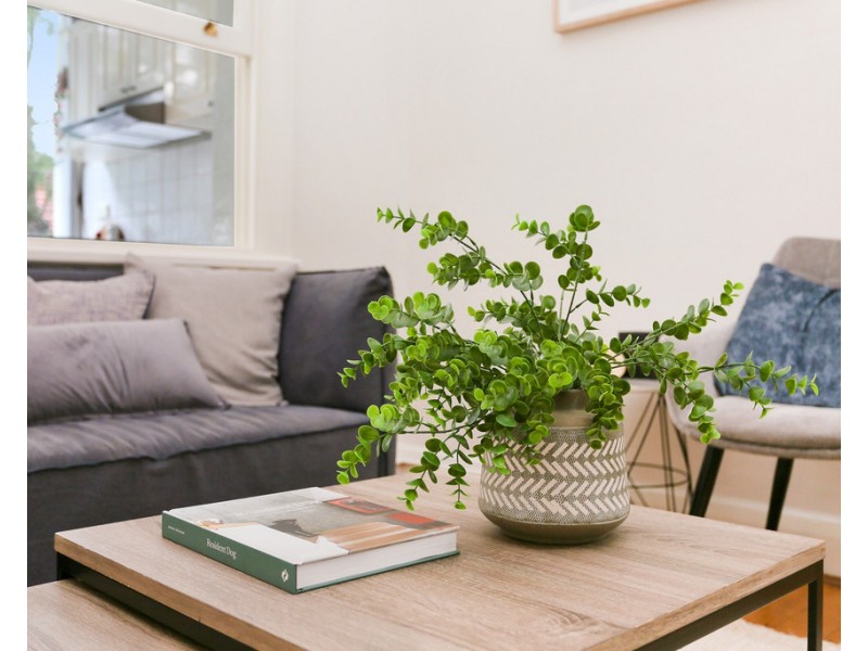 2/26 Chester Street, Petersham NSW 2049