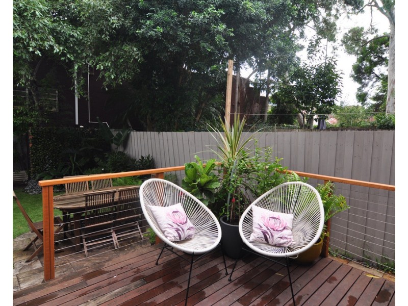 16 Searl Street, Petersham NSW 2049