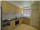 11/30-36 Minter Street, Canterbury NSW 2193