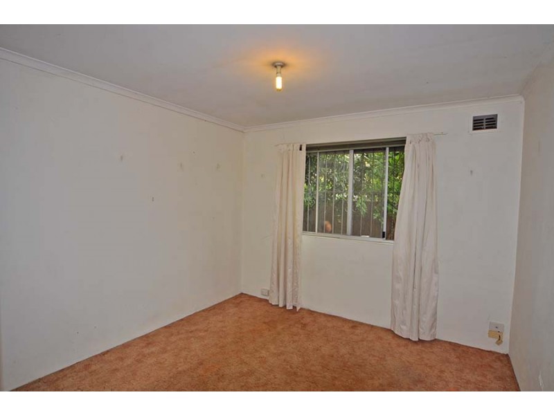 8a Belgrave Street, Petersham NSW 2049