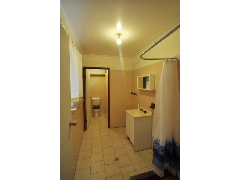 8a Belgrave Street, Petersham NSW 2049